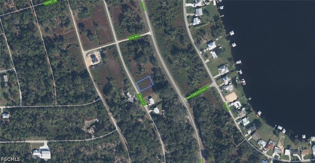 1025 Oriole Street, Lake Placid, FL 33852 photo 2