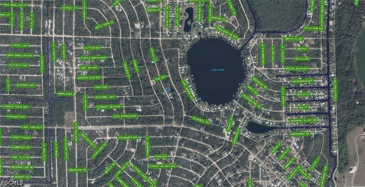 1025 Oriole Street, Lake Placid, FL 33852 photo 3