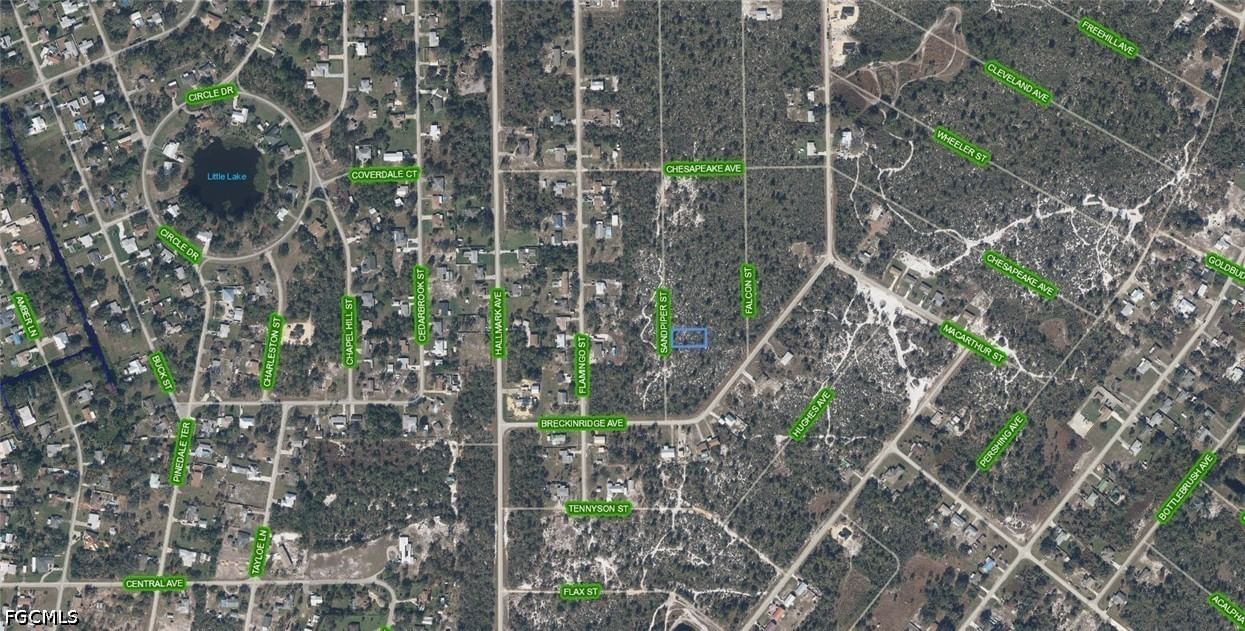 239 Sandpiper Street, Lake Placid, FL 33852 photo 3