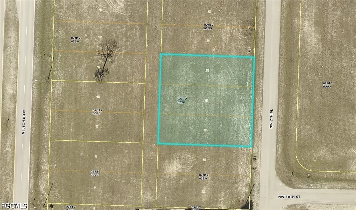 3018 NW 7th Place, Cape Coral, FL 33993 photo 2