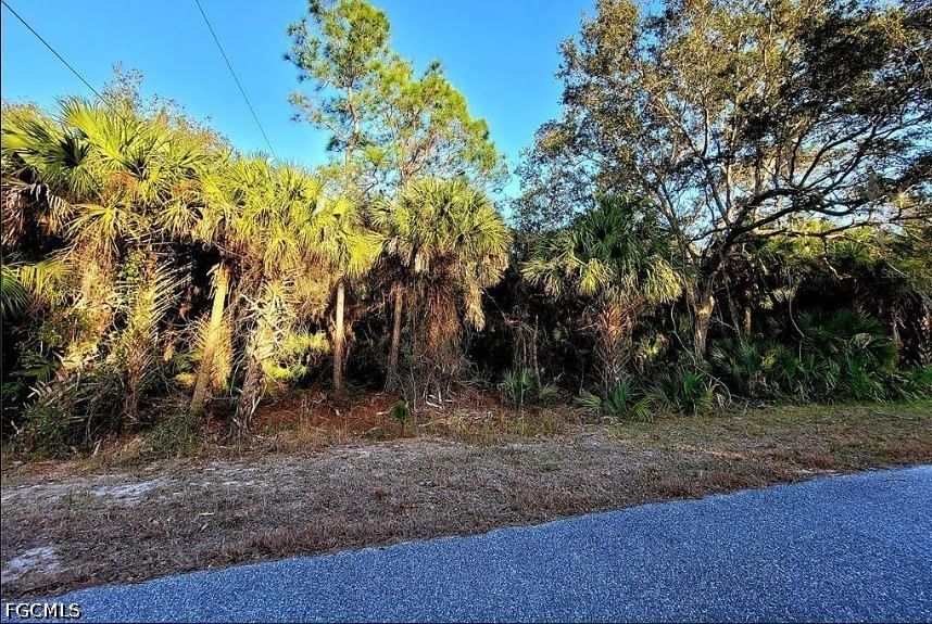 3120 Olney Street, Port Charlotte, FL 33948