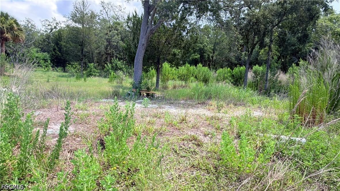7675 Detroit 7675 Detroit Avenue Avenue, Hudson, FL 34667 photo 4