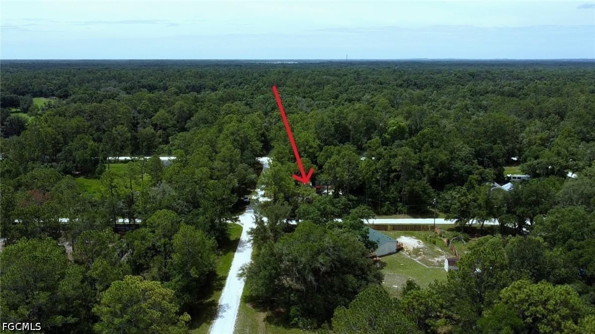 9113 Garetta Avenue, Webster, FL 33597 photo 5