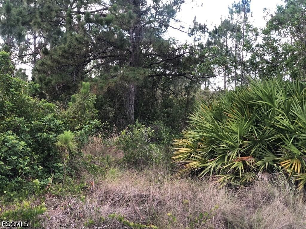 815 State Avenue, Lehigh Acres, FL 33972 photo 2