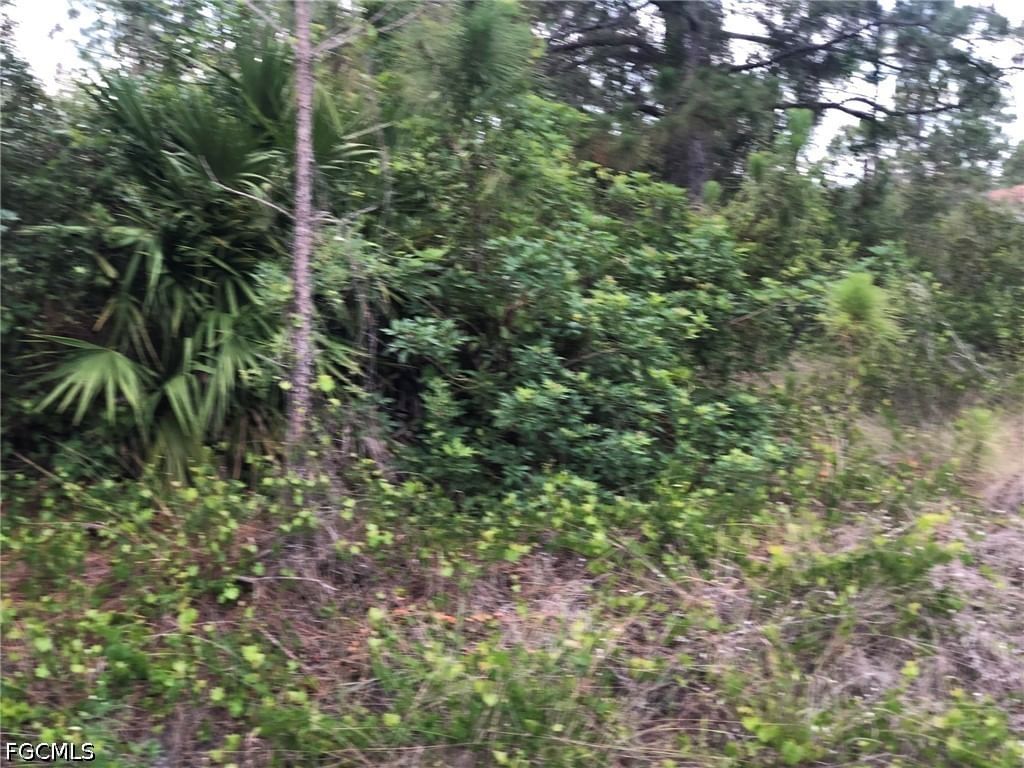 815 State Avenue, Lehigh Acres, FL 33972 photo 4