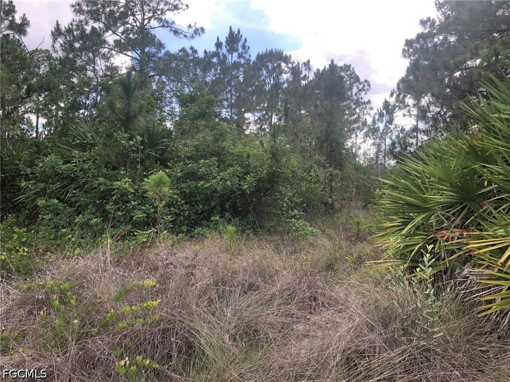 815 State Avenue, Lehigh Acres, FL 33972 photo 5