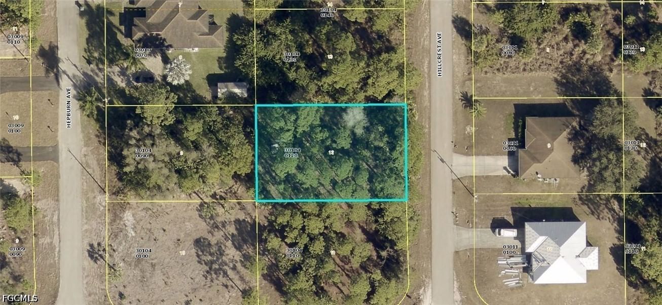 920 Hillcrest Avenue, Lehigh Acres, FL 33974 photo 2