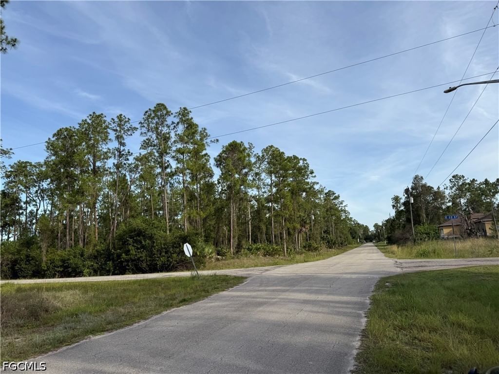 2202 Truman Avenue, Alva, FL 33920 photo 3