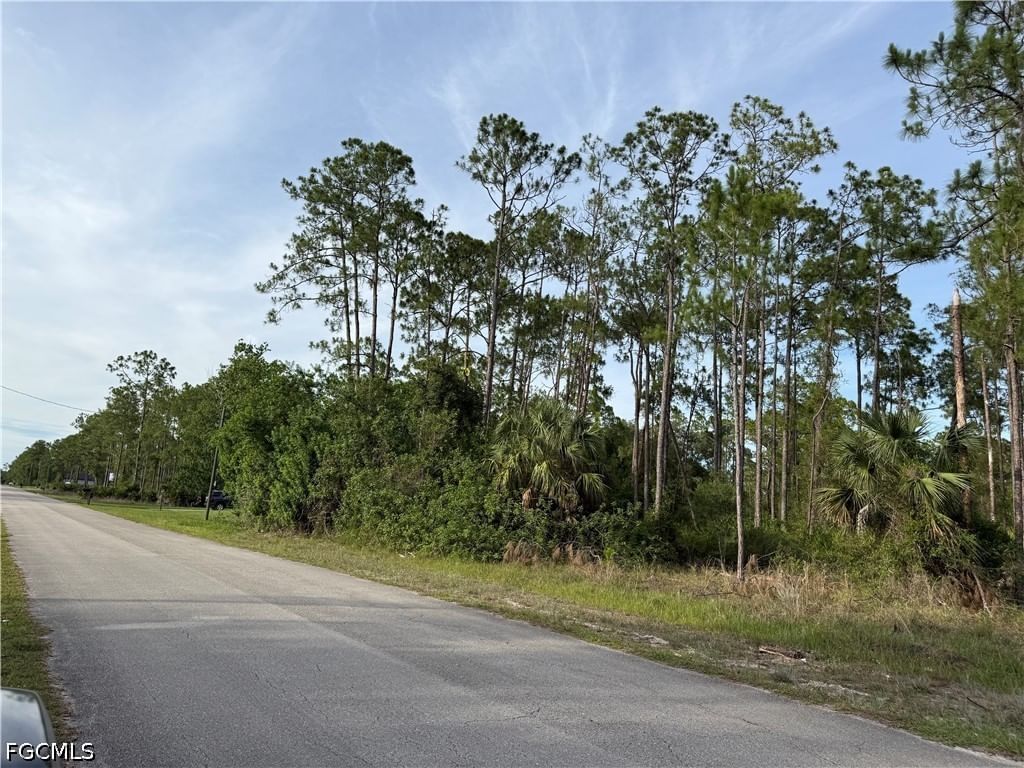 2202 Truman Avenue, Alva, FL 33920 photo 4