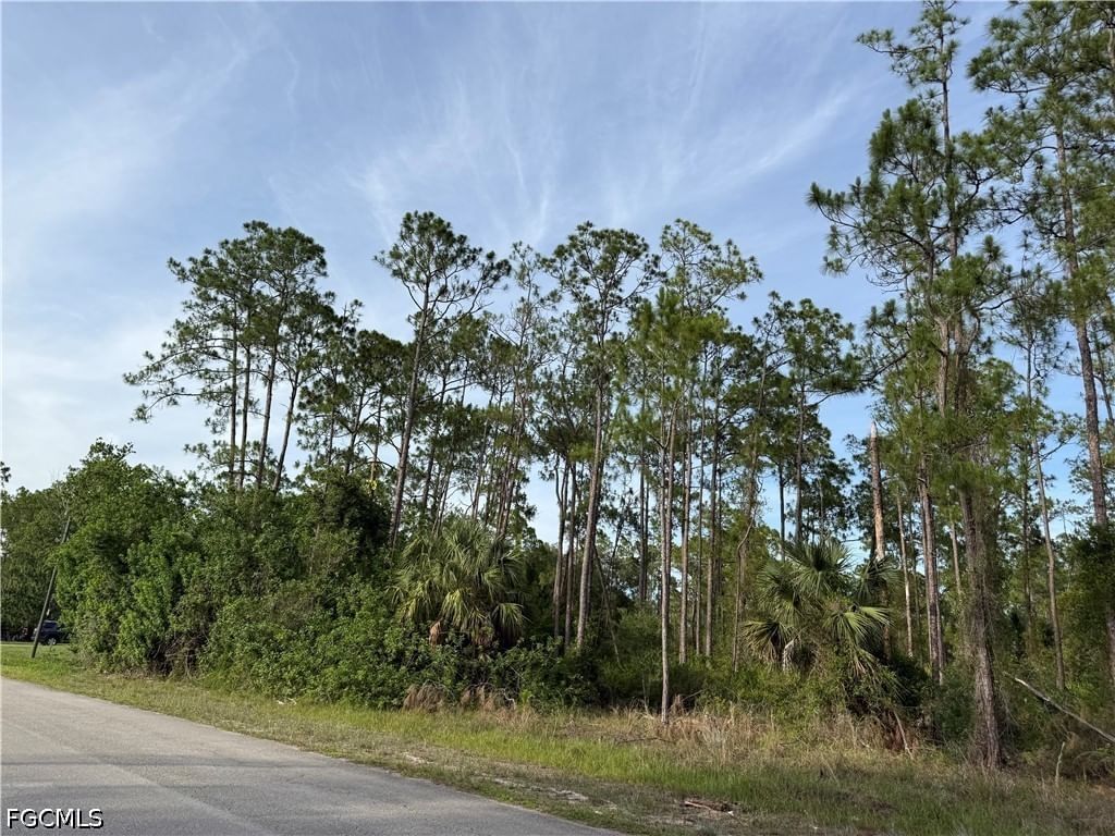 2202 Truman Avenue, Alva, FL 33920 photo 5
