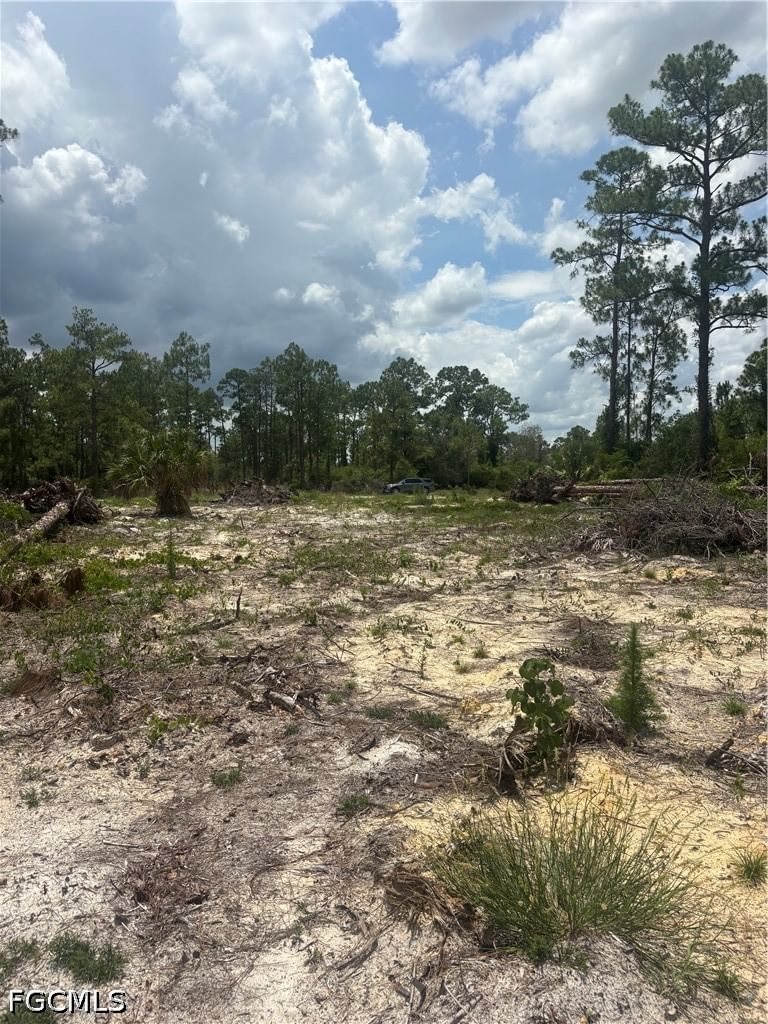 1122 Johns Avenue, Lehigh Acres, FL 33972 photo 5