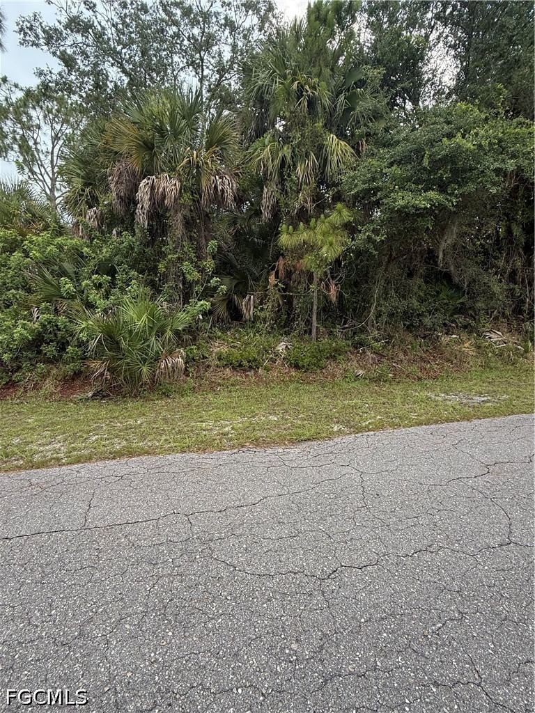 703 Cleveland Avenue, Lehigh Acres, FL 33972 photo 2