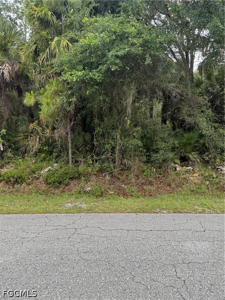 705 Cleveland Avenue, Lehigh Acres, FL 33972 photo 2