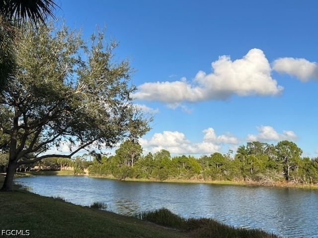10115 Colonial Country Club Boulevard #2103, Fort Myers, FL 33913 photo 2