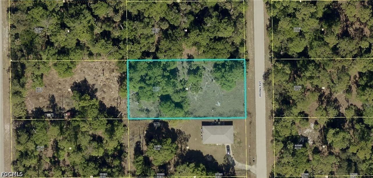 1005 Irving Avenue, Lehigh Acres, FL 33972 photo 5