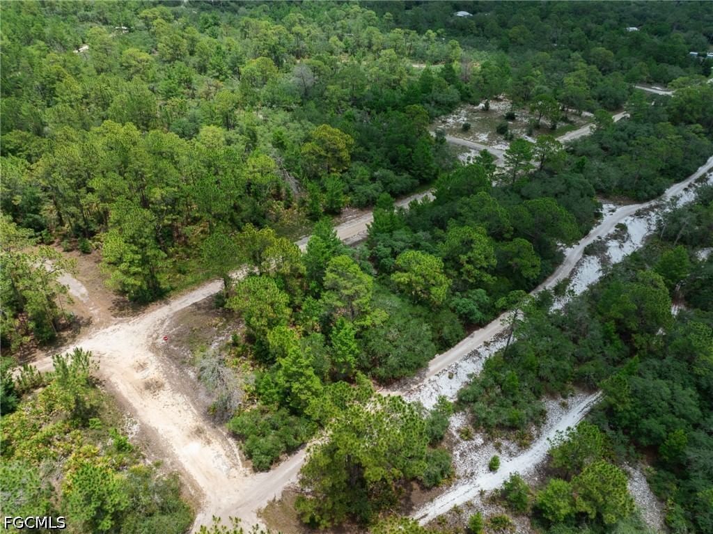 3238 Gossamer Avenue, Lake Placid, FL 33852 photo 4