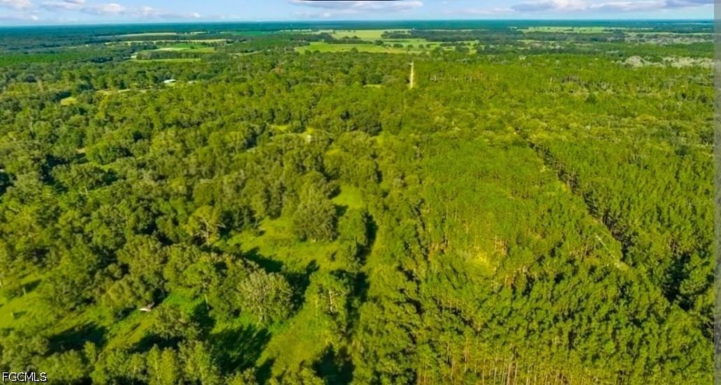 TBD TBD, Fort Meade, FL 33841 photo 2