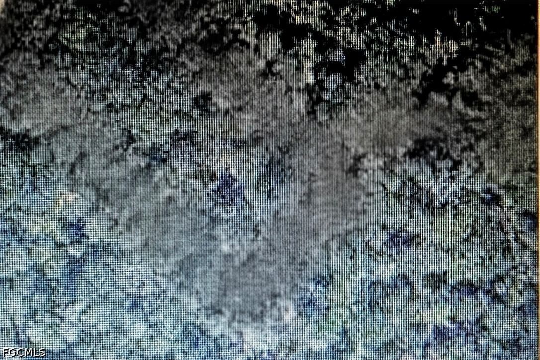TBD TBD, Fort Meade, FL 33841 photo 4