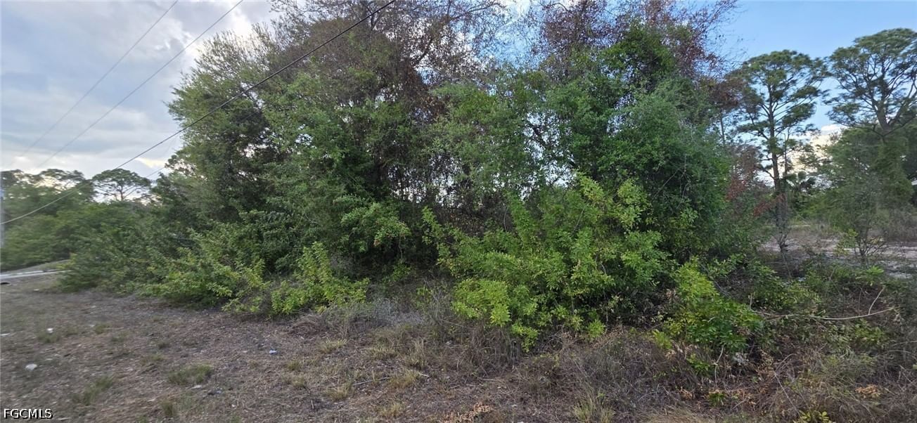 4640 15th Street SW, Lehigh Acres, FL 33973 photo 3