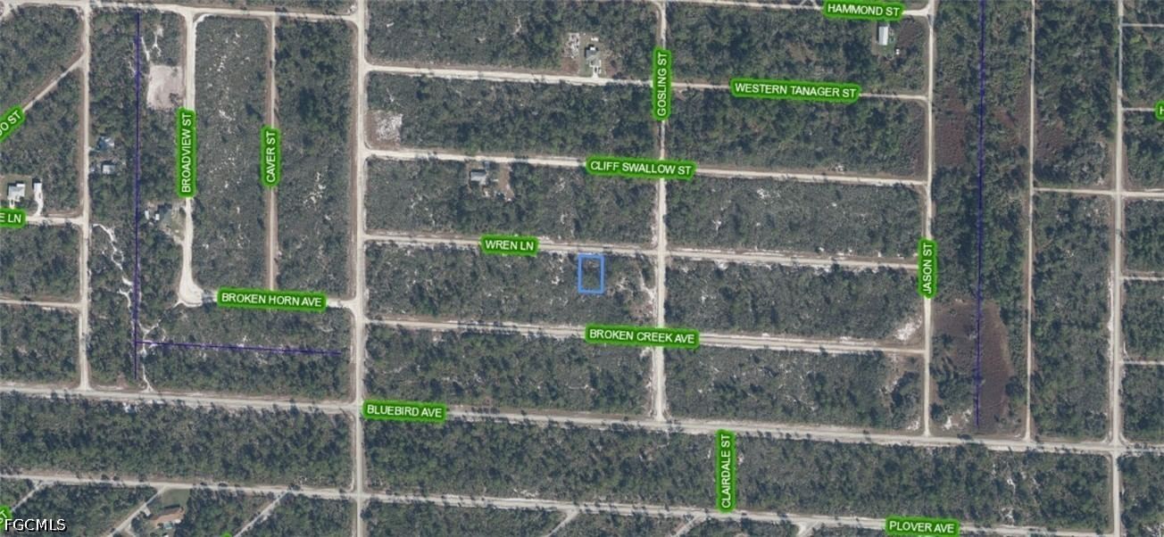 3442 Wren Lane, Lake Placid, FL 33852 photo 2