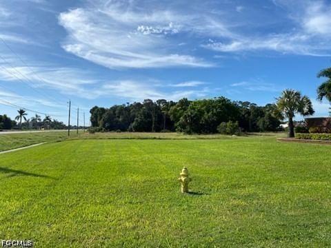 Access Undeterm US 41, Fort Myers, FL 33908 photo 4