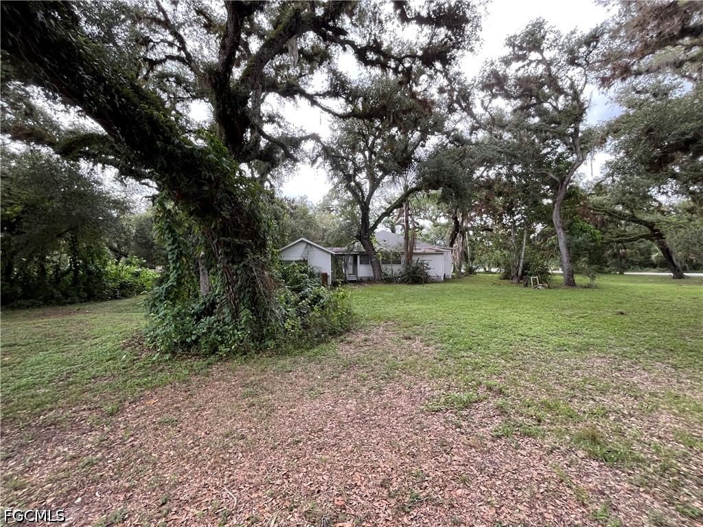 351 E Hickpochee Ave/SR 80 + S Oak Street, Labelle, FL 33935 photo 4