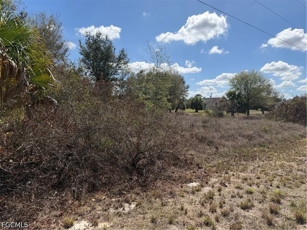 1704 Abbott Avenue, Lehigh Acres, FL 33972 photo 4