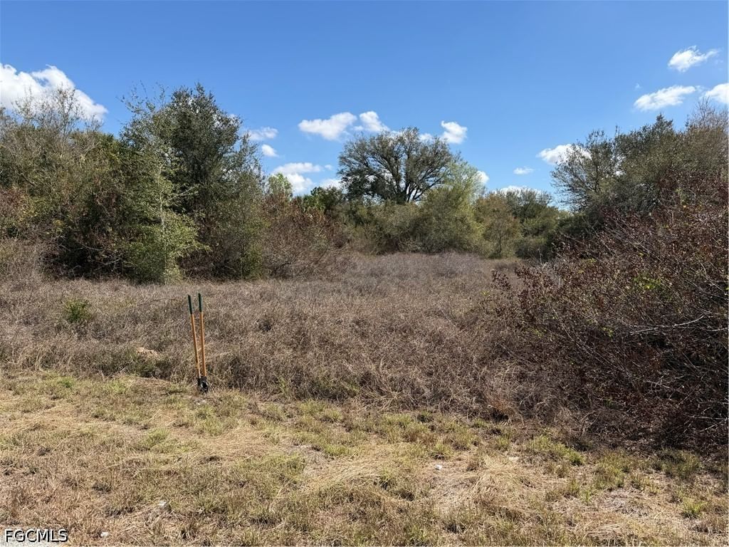 1704 Abbott Avenue, Lehigh Acres, FL 33972 photo 5