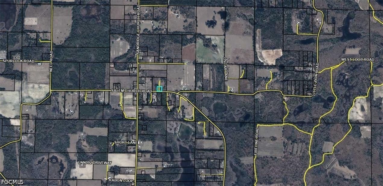 Salem Church Road, Sneads, FL 32460 photo 2