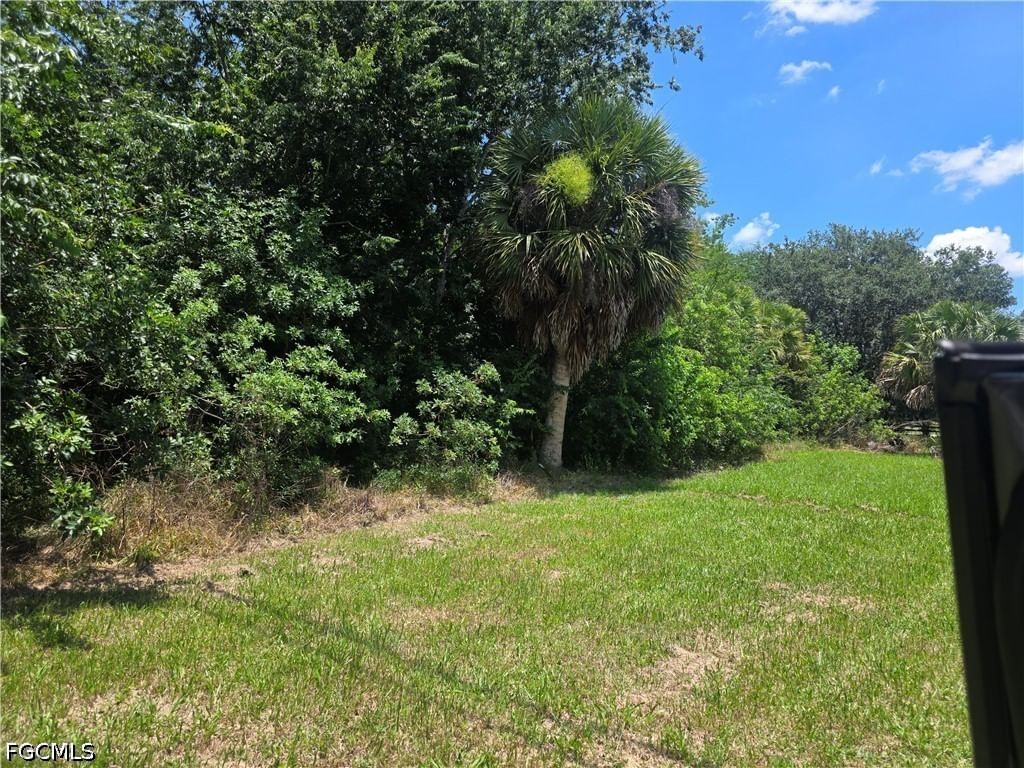 Jerdik Drive NE, Moore Haven, FL 33471