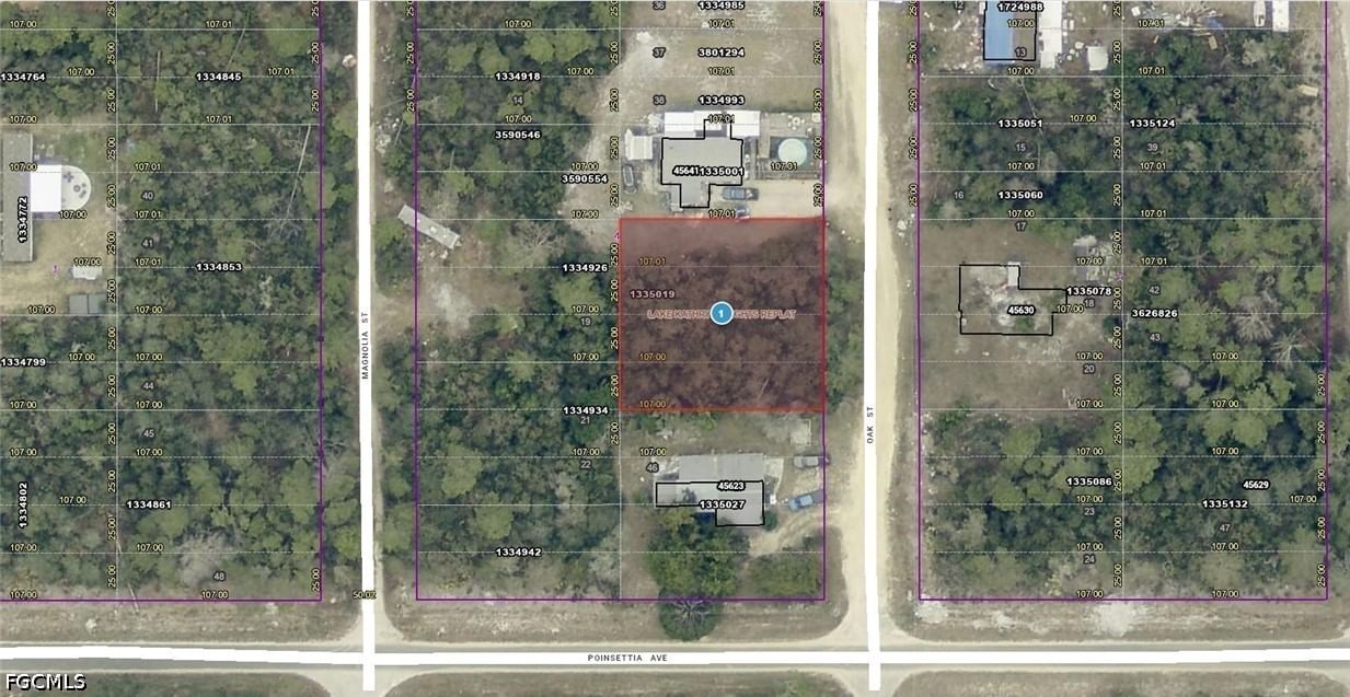 14-17-28-0200-0 Oak Street, Paisley, FL 32767