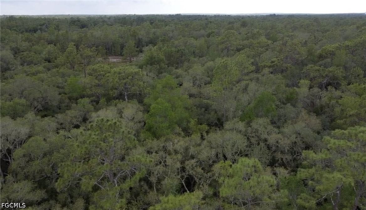 34287 Berryhill Drive, Webster, FL 33597 photo 3