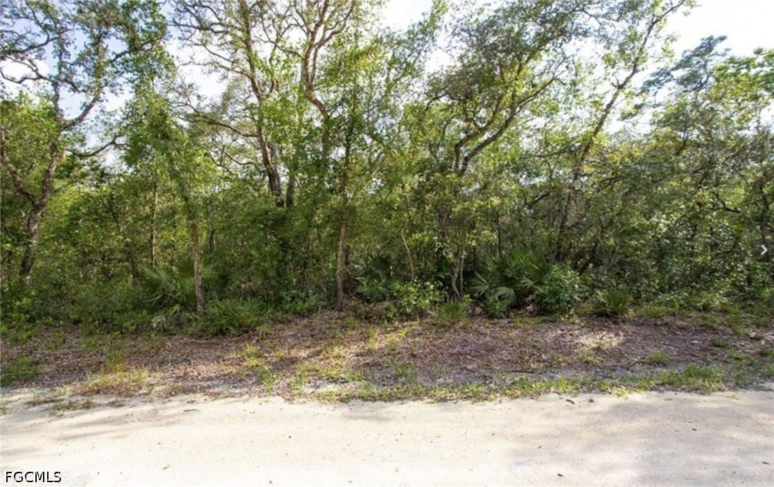 34287 Berryhill Drive, Webster, FL 33597 photo 5