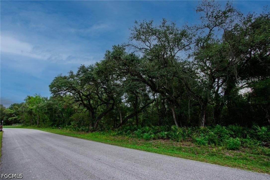 34122 August Avenue, Webster, FL 33597 photo 3