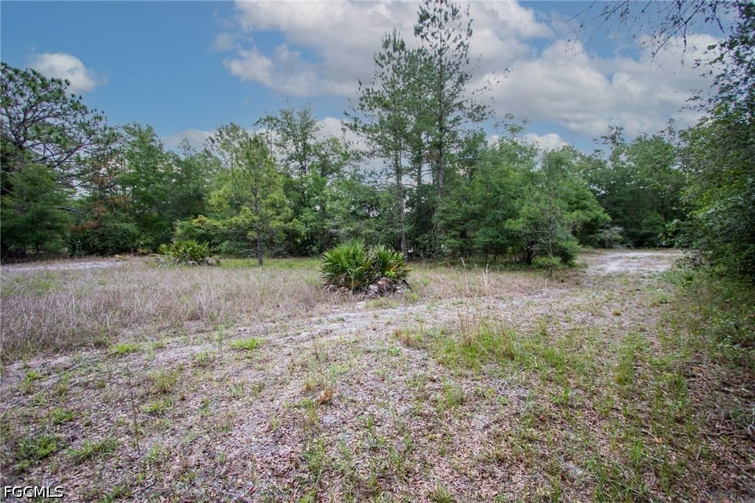 34122 August Avenue, Webster, FL 33597 photo 5