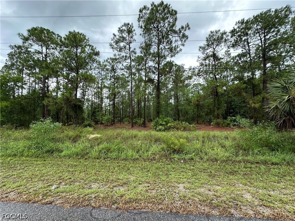 1103 Thompson Avenue, Lehigh Acres, FL 33972 photo 4