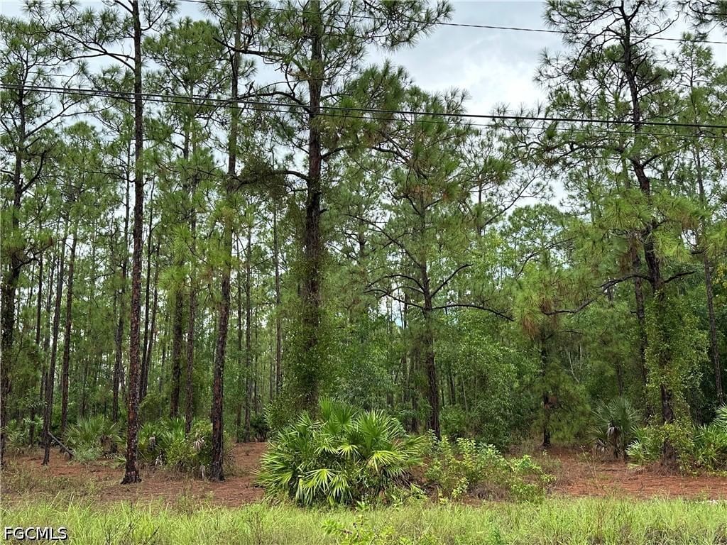 1103 Thompson Avenue, Lehigh Acres, FL 33972 photo 5