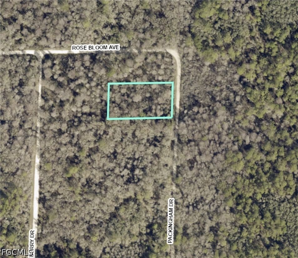 8009 Packingham Drive, Webster, FL 33597