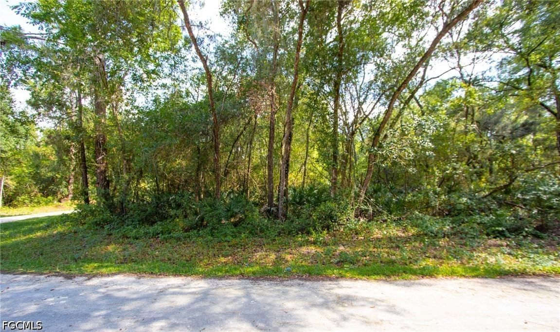 8009 Packingham Drive, Webster, FL 33597 photo 2