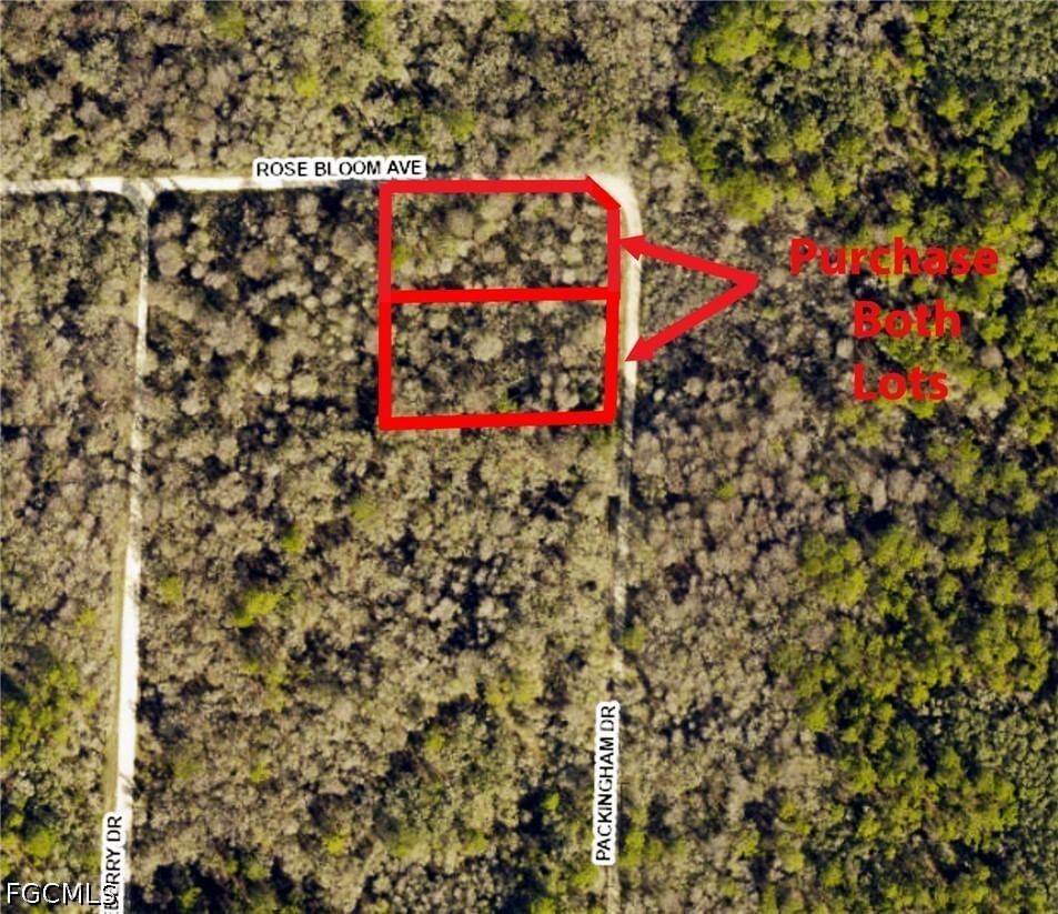 8009 Packingham Drive, Webster, FL 33597 photo 3