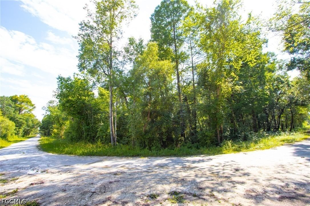 33464 Packingham Drive, Webster, FL 33597 photo 2