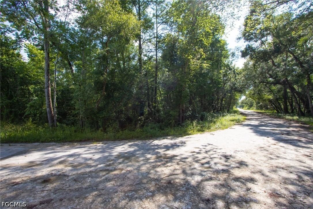 33464 Packingham Drive, Webster, FL 33597 photo 3