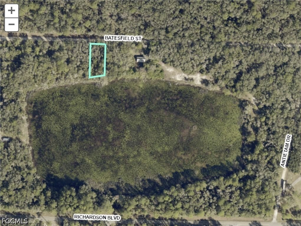 35028 Batesfield Street, Webster, FL 33597