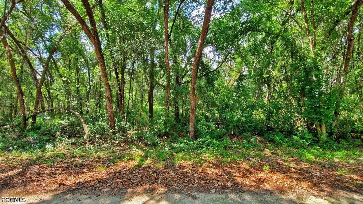 35028 Batesfield Street, Webster, FL 33597 photo 5