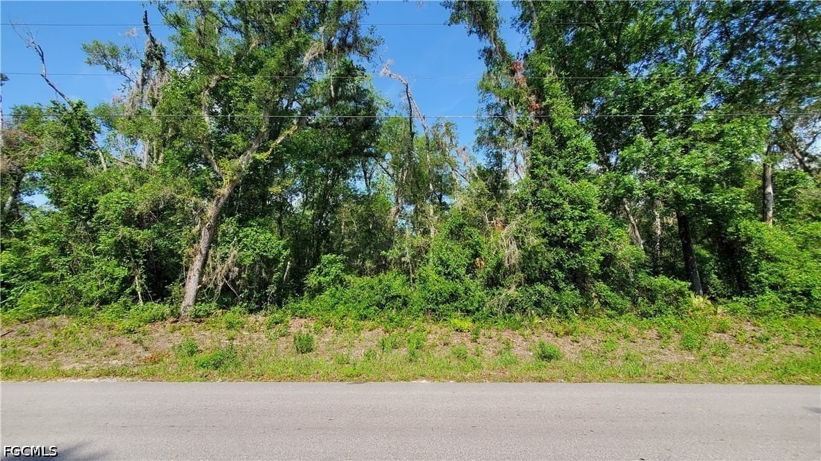 7475 Shasta Street, Webster, FL 33597 photo 3