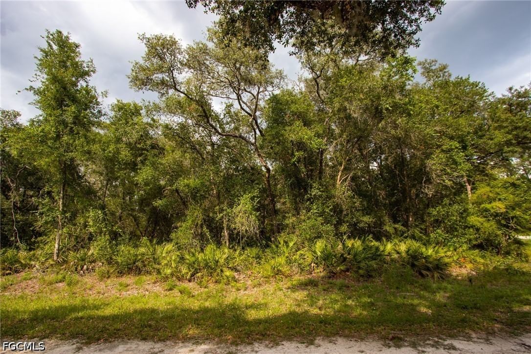 7478 N Canal Street, Webster, FL 33597 photo 2