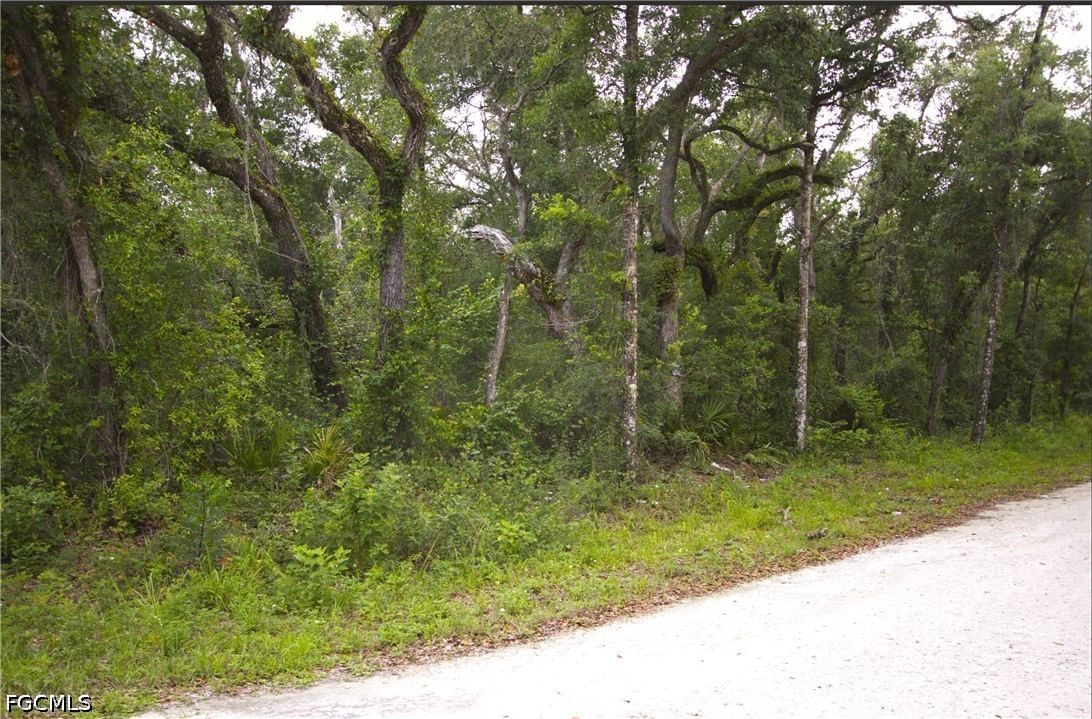 7466 Northwest Avenue, Webster, FL 33597 photo 3