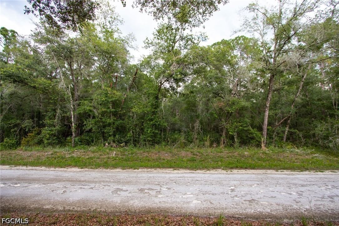 7406 Southeast Avenue, Webster, FL 33597 photo 2