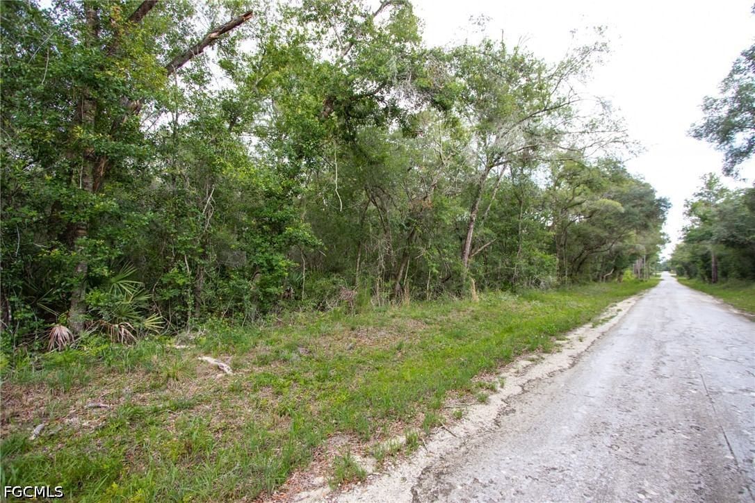 7398 Southeast Avenue, Webster, FL 33597 photo 2