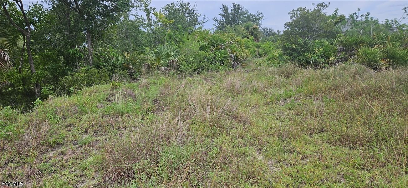 1800 NE 13th Place, Cape Coral, FL 33909 photo 3